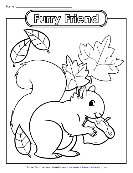 Advanced Pictures (For Older Students) - Furry Friend (Printable PDF Worksheet)