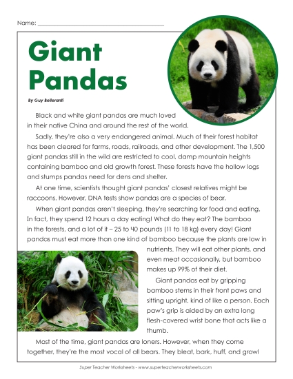 Nonfiction Articles - Giant Pandas (Printable PDF Worksheet)