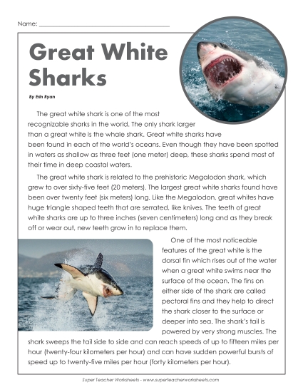 Nonfiction Articles - Great White Sharks (Printable PDF Worksheet)