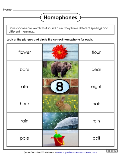 Mixed Homophones - Homophones 4 (Printable PDF Worksheet)