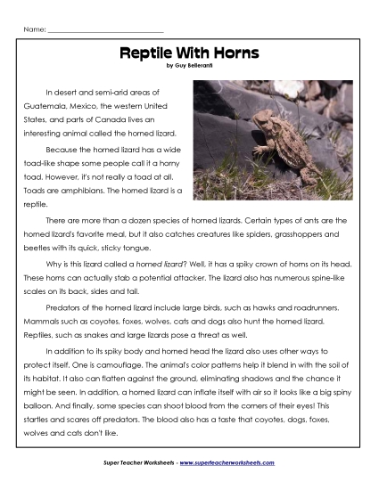 Reptiles - Horned Lizards (Printable PDF Worksheet)