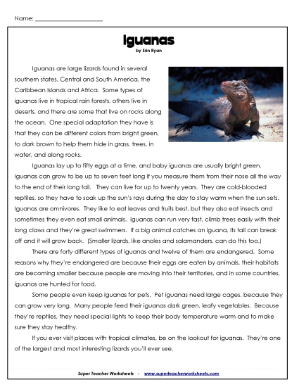 Reptiles - Iguanas (Printable PDF Worksheet)