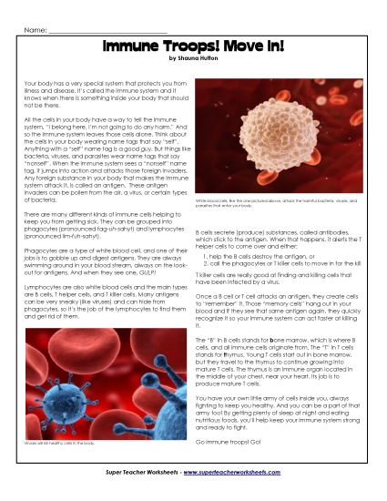 Nonfiction Science Articles - Immune System (Printable PDF Worksheet)