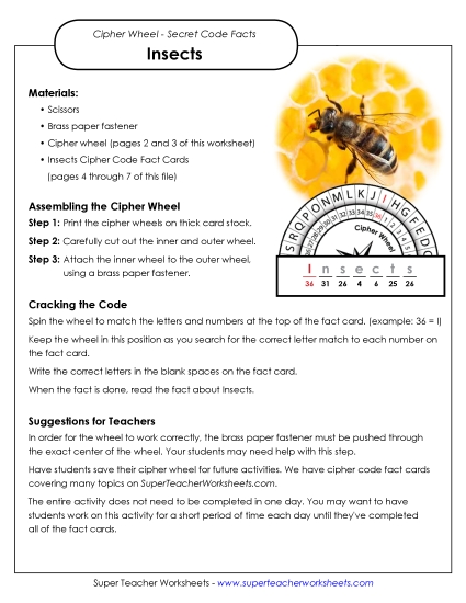 Insects (Printable PDF Worksheet)
