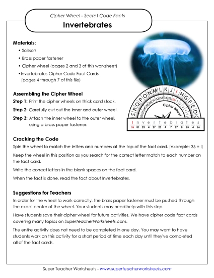 Invertebrates (Printable PDF Worksheet)