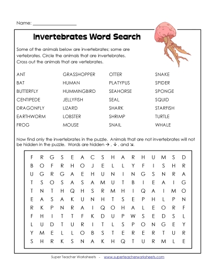 Intermediate (Grades 3-6) - Invertebrates (Printable PDF Worksheet)