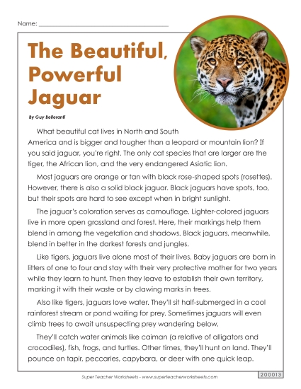 Mammals - Jaguars (Printable PDF Worksheet)