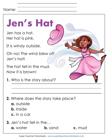 Reading Comprehension and  Additional ELA Skills - Jen's Hat (Printable PDF Worksheet)