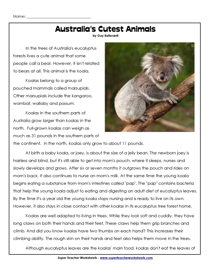 Nonfiction Articles  - Koala (Printable PDF Worksheet)