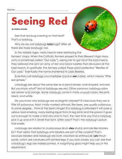 Insects, Spiders, and Bugs - Ladybugs (Printable PDF Worksheet)