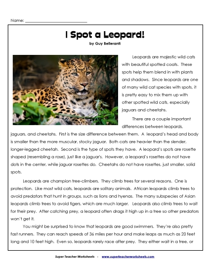 Mammals - Leopards (Printable PDF Worksheet)