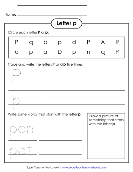 Trace and Print - Letter P p - Practice Sheet (Printable PDF Worksheet)