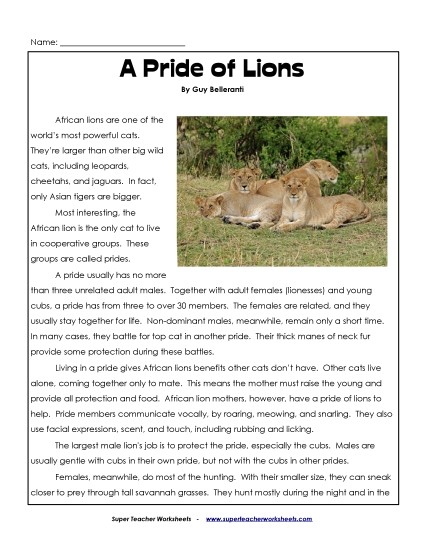 Mammals - Lions (Printable PDF Worksheet)