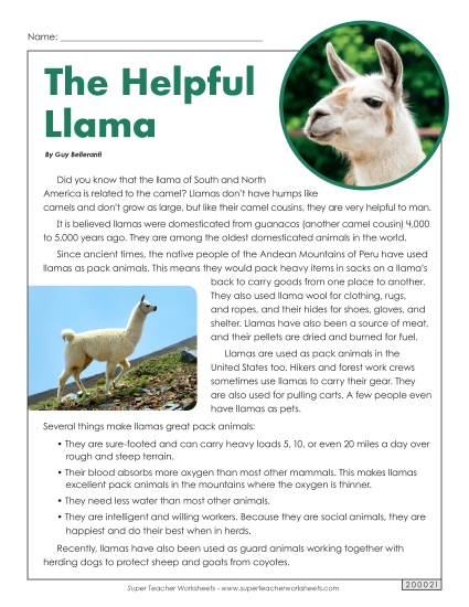 Mammals - Llamas (Printable PDF Worksheet)