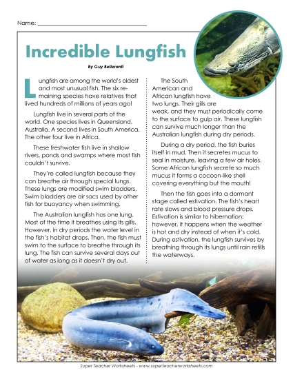 Fish - Lungfish (Printable PDF Worksheet)