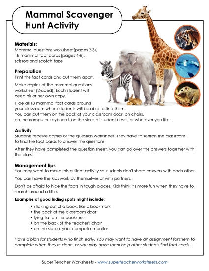 Scavenger Hunts - Mammals Scavenger Hunt (Printable PDF Worksheet)