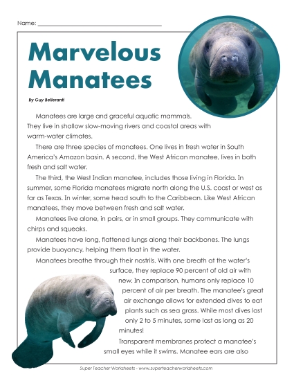 Mammals - Manatees (Printable PDF Worksheet)