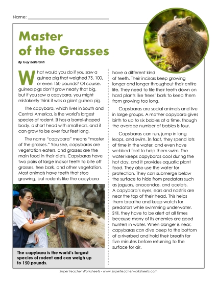 Nonfiction Articles - Master of the Grasses (Printable PDF Worksheet)