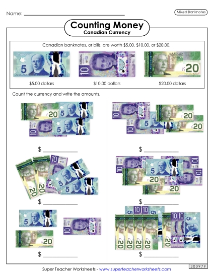 Mixed Coins - Mixed Banknotes (Paper Money Only) (Printable PDF Worksheet)