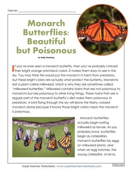 Monarch Butterfly (Article) (Printable PDF Worksheet)