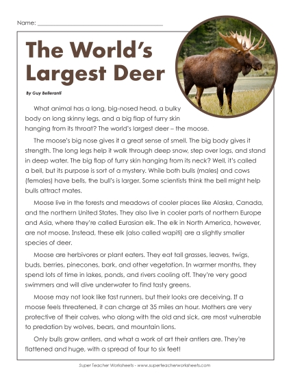 Mammals - Moose (Printable PDF Worksheet)
