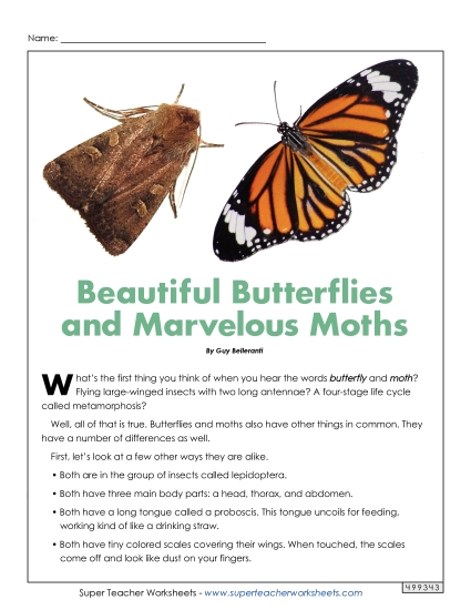 Articles with Questions - Moths and Butterflies (Printable PDF Worksheet)
