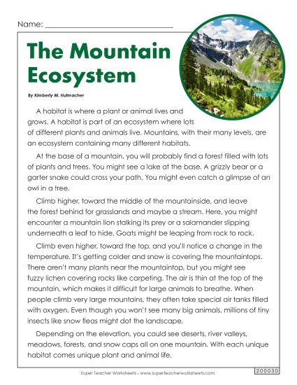 Food Chain Articles - Mountain Ecosystem (Non-Fiction) (Printable PDF Worksheet)
