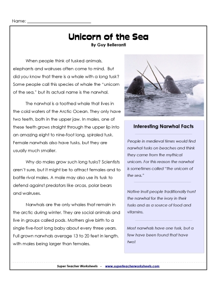 Mammals - Narwhals (Printable PDF Worksheet)