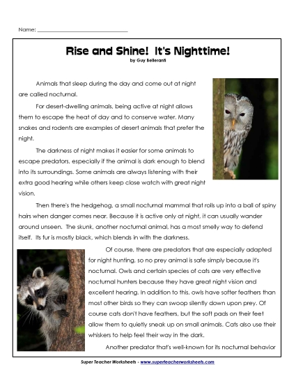 Animal Topics - Nocturnal Animals (Printable PDF Worksheet)