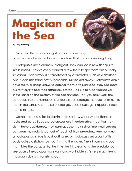 Other Animals - Octopus: Magician of the Sea (Printable PDF Worksheet)