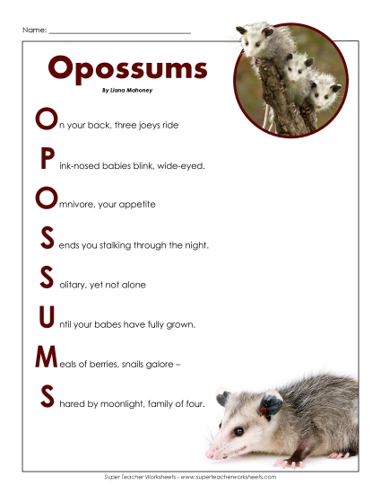 Poems - Opossums (Poem) (Printable PDF Worksheet)