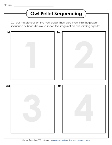 Owl Pellets - Owl Pellet Sequencing (Printable PDF Worksheet)