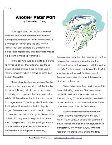 Other Animals - Peter Pan Jellyfish (Printable PDF Worksheet)
