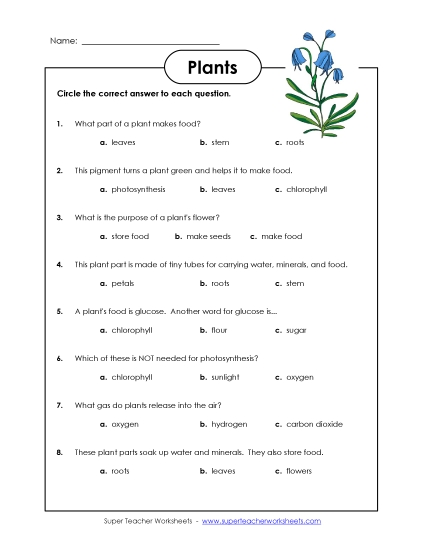 Plant Worksheets (Intermediate) - Plant Questions (Printable PDF Worksheet)