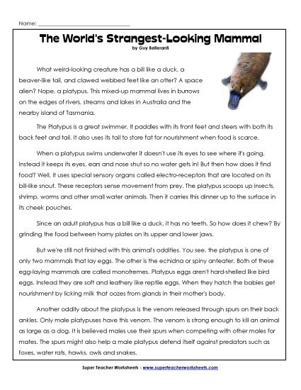 Mammals - Platypus (Printable PDF Worksheet)