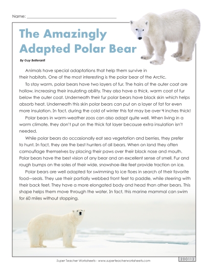 Reading Comprehension - Polar Bears (Printable PDF Worksheet)