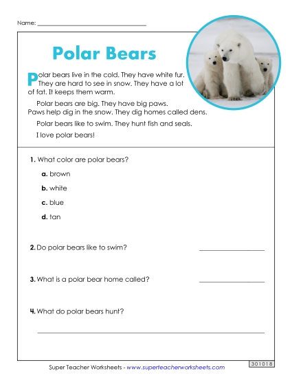 Reading Comprehension - Polar Bears (Short Article) (Printable PDF Worksheet)