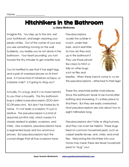 Animal Articles - Pseudoscorpions (Printable PDF Worksheet)