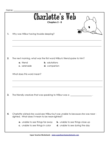 Chapters 5 - 8 - Questions for Chapters 5-8 (Printable PDF Worksheet)