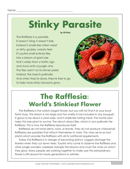 Poems - Rafflesia (Article & Poem) (Printable PDF Worksheet)