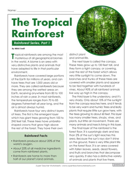 Nonfiction Articles - Rainforest, Part 1: Layers (Printable PDF Worksheet)