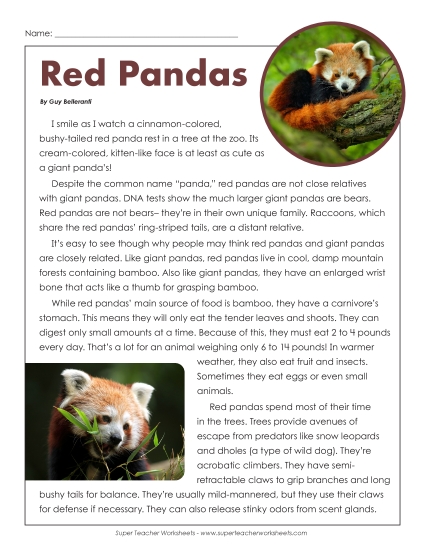 Nonfiction Articles - Red Pandas (Printable PDF Worksheet)