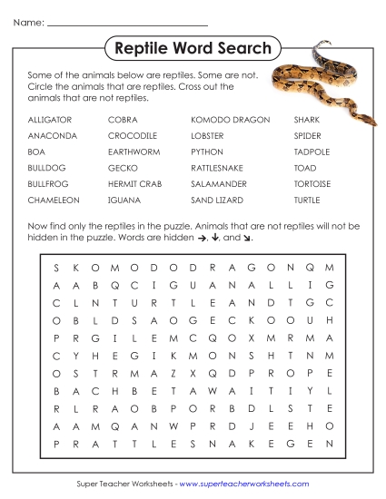 Intermediate (Grades 3-6) - Reptiles (Printable PDF Worksheet)
