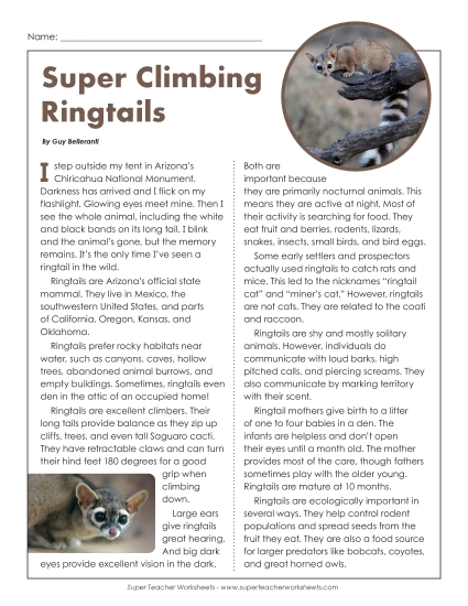 Nonfiction - Ringtails (Printable PDF Worksheet)