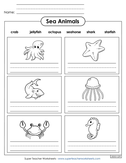Worksheets & Activities - Sea Animal Names (Printable PDF Worksheet)