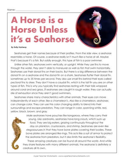 Nonfiction Articles - Seahorses (Printable PDF Worksheet)