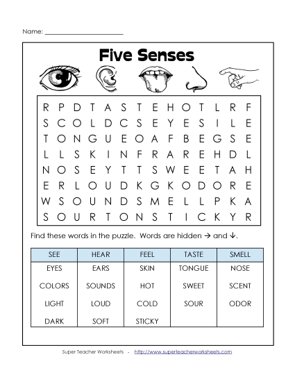 Puzzles - Senses Word Search (Printable PDF Worksheet)