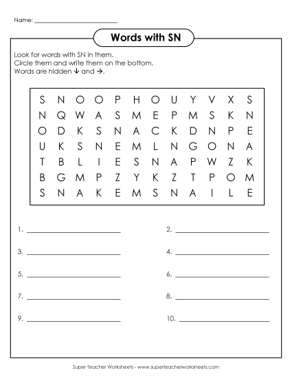 Worksheets - SN Word Search (Printable PDF Worksheet)