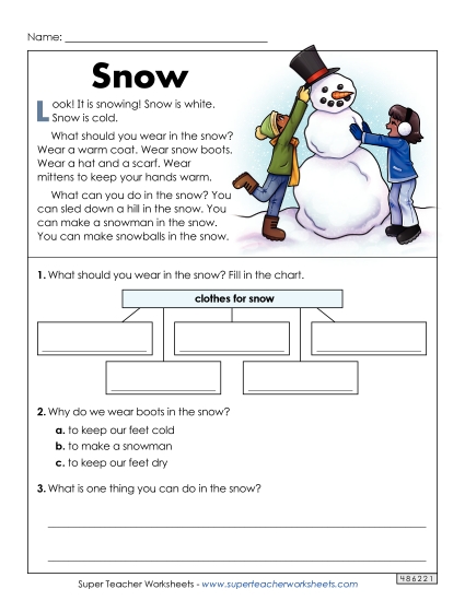 Reading Comprehension - Snow (Short Article) (Printable PDF Worksheet)