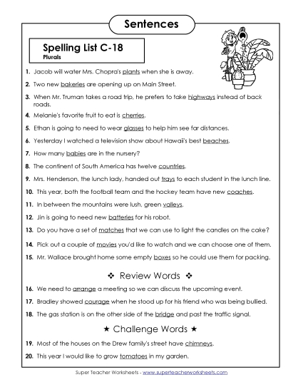 Spelling Test - Spelling Test Sentences (C-18)  (Printable PDF Worksheet)